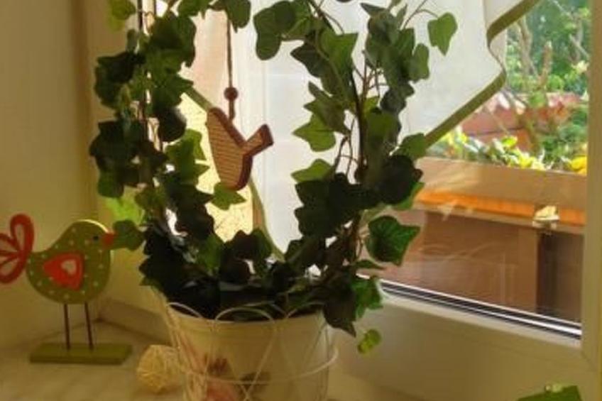 Fewo-Dorfblick - foto 6