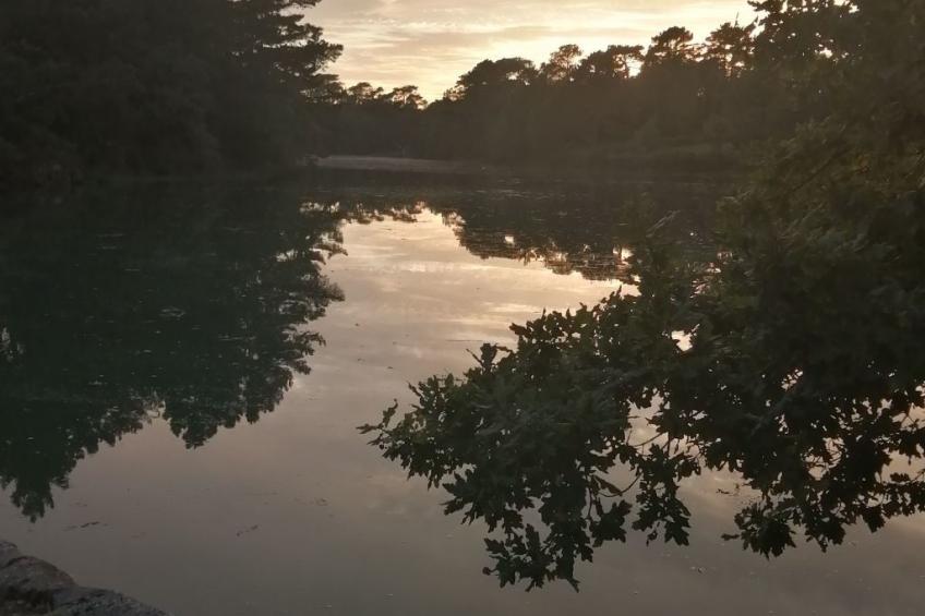 Bretagne Loctudy Haus Les Camélias 3 Personen - foto 30