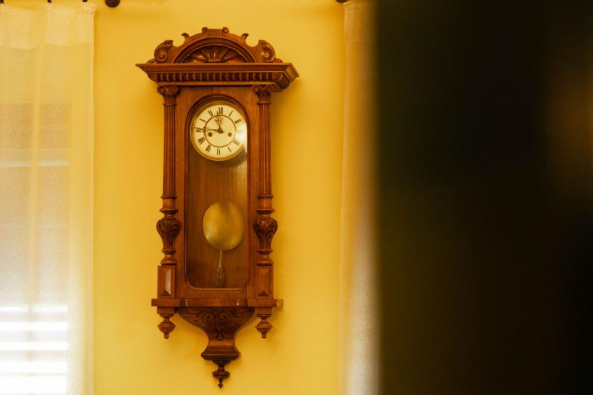 House Biljkinog oca - foto 24