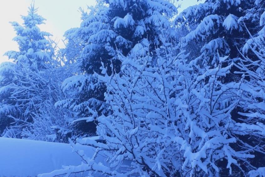 Vila Roberta Breaza Brasov - foto 28