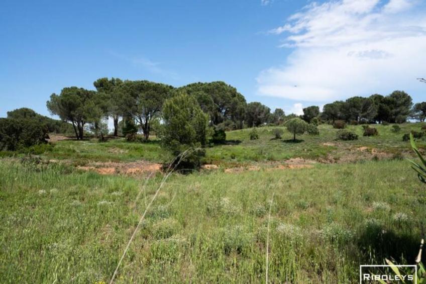 Spacieuse Villa Au Cœur Du Golf De Béziers - foto 26