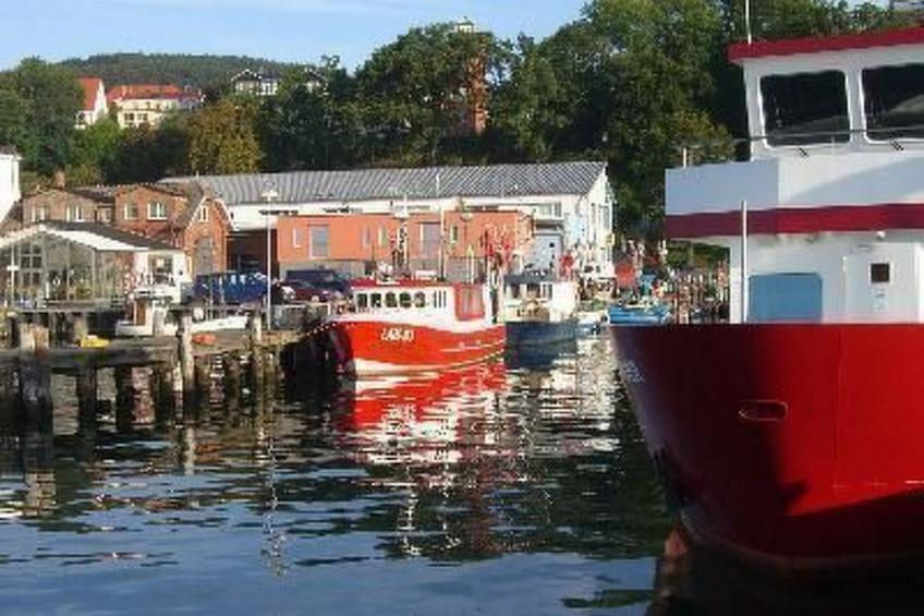 El Capitan - foto 11