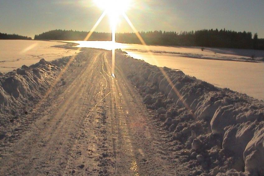 FeWo Panorama - foto 44