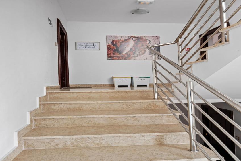 Apartments Neda - Apartment Smilje with Sea View - foto 13