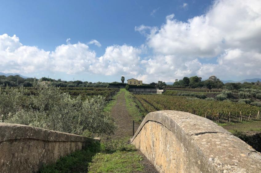 Villa Nocellara", umgeben von Weinbergen - foto 6