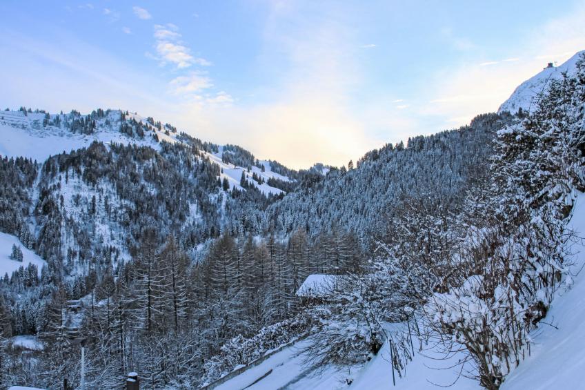 Les 3 Marmottes - foto 14