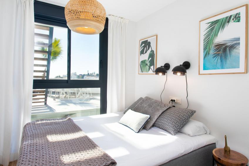 Royal Palm - foto 14