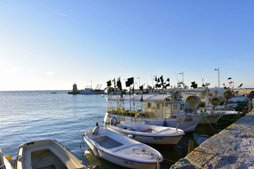Holiday apartment Apartment Toni with terrace and sea view - BF-D24RX - foto 36