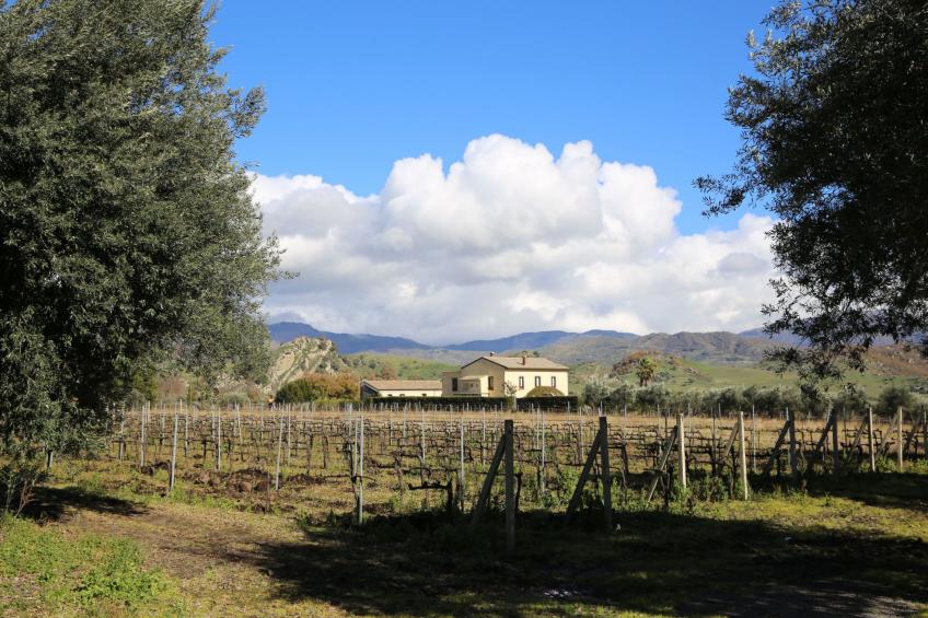 Villa dei Baroni - foto 16