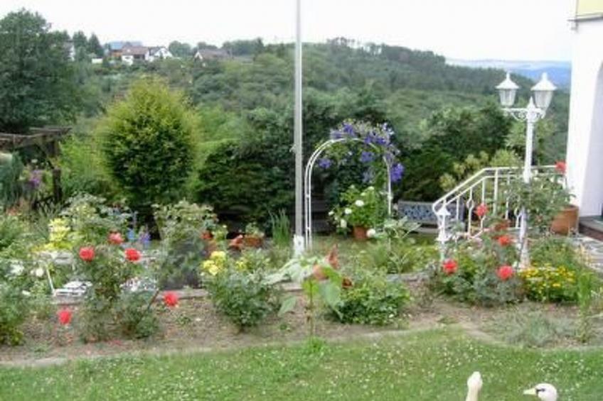 Am Waldrand - foto 15