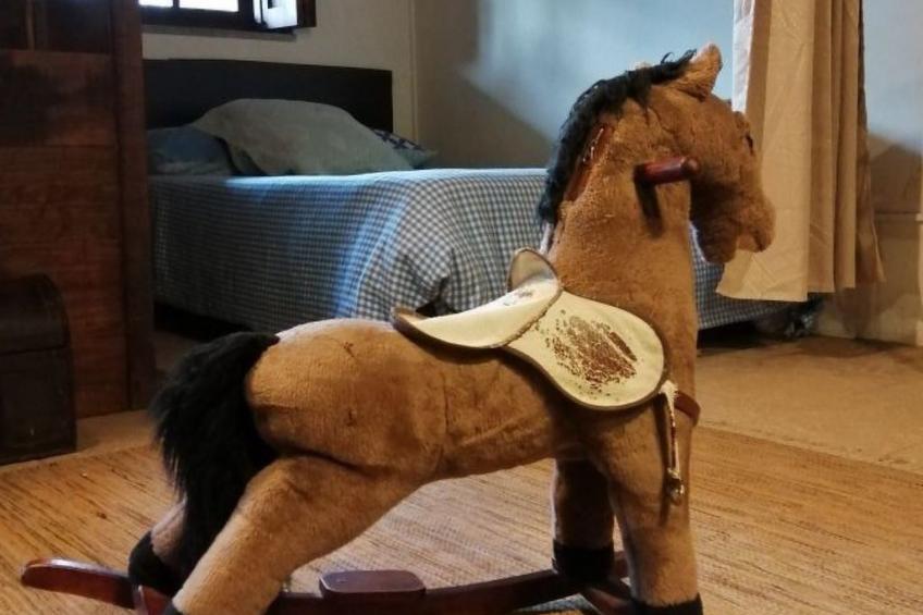 Maison du Moulin in Bauernhof - foto 11