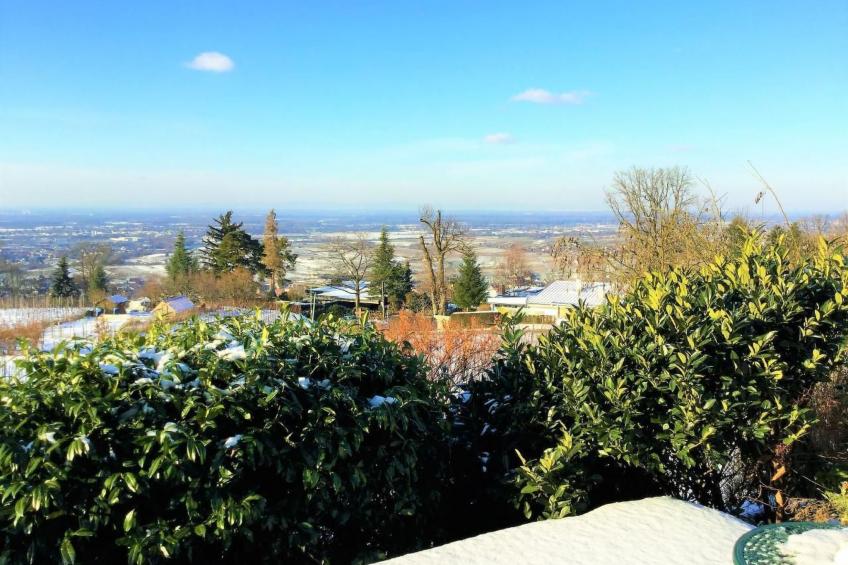 Traumwohnung - foto 49