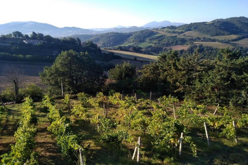 Piano Giardino - foto 20