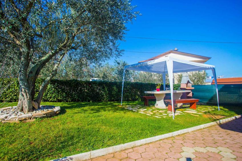 Vakantiewoning met tuin - BF-DVHX3 - foto 3