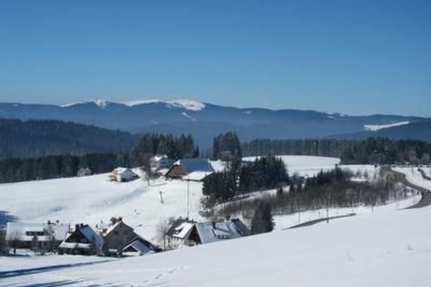 Appartement mit Garten in Schwärzenbach - foto 22