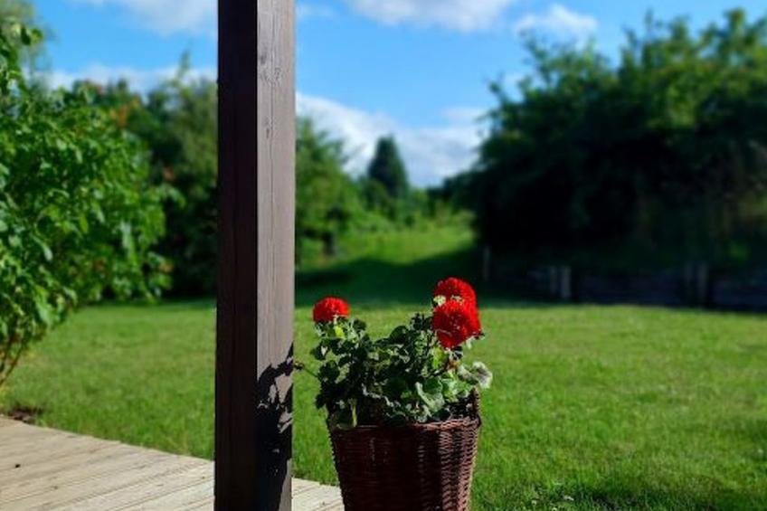 Holzhäuschen in der Kaschubei - foto 13