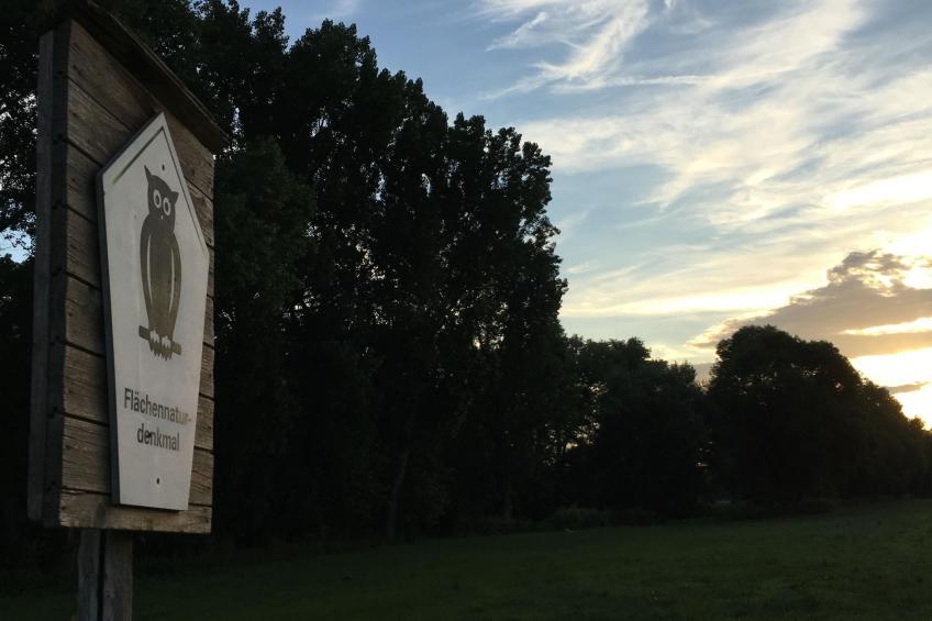 Pleissenhaus - foto 26