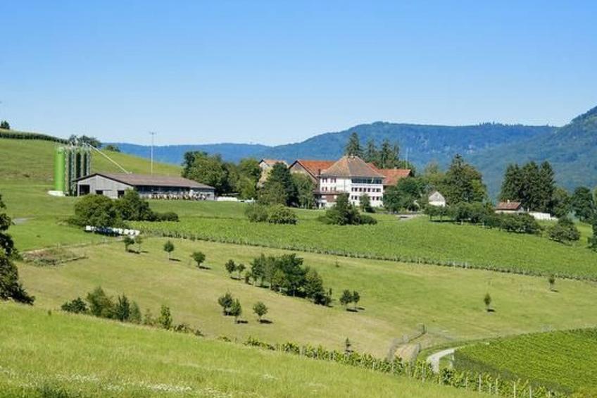 Berghof Hallau grosse Ferienwohnung - foto 18