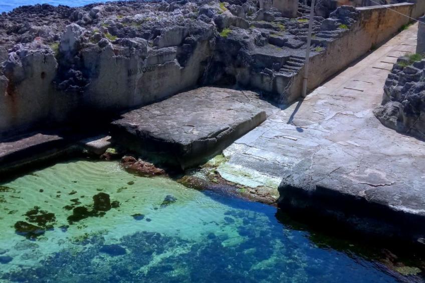 Girasoli in Tricase Porto - foto 43