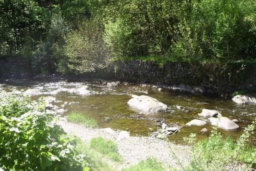 mit Bergblick - foto 11