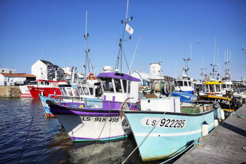 Mobil Home - Bungalow - Cottage à Saint-Hilaire-de-Riez - foto 26