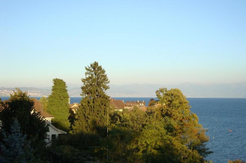 Chalet am See in St-Prex - foto 2