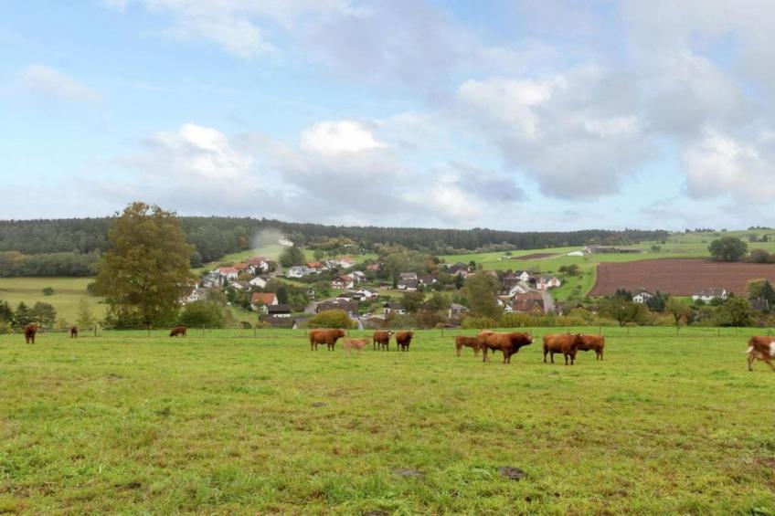Am Wald - foto 30