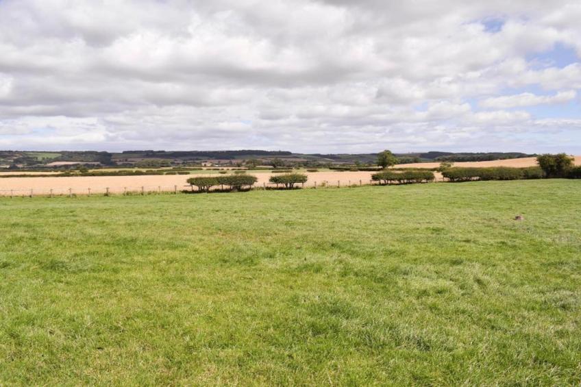 Ingleby Manor - South Front - foto 18