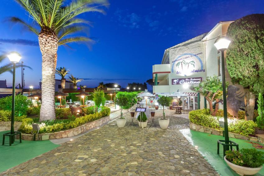 Palmiers 01 - foto 19