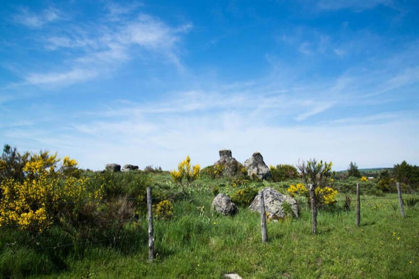 Gîte de France Gîtes de france 2/4 personnes à la peyre 2 épis - foto 13
