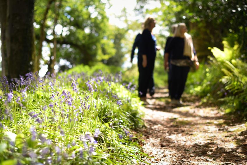 Historic Castle on River Tamar - foto 4
