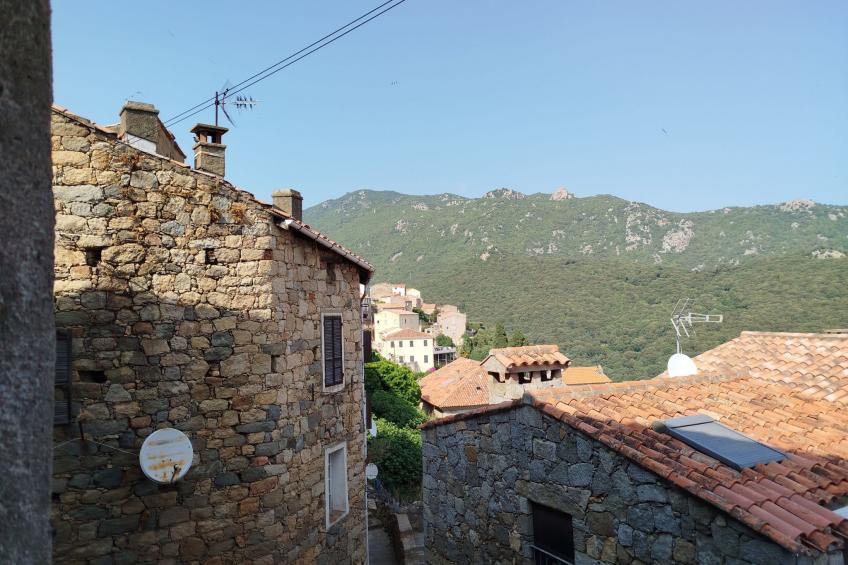 Corse du Sud 10mn von den Stränden entfernt - Olmeto App 4P - foto 14
