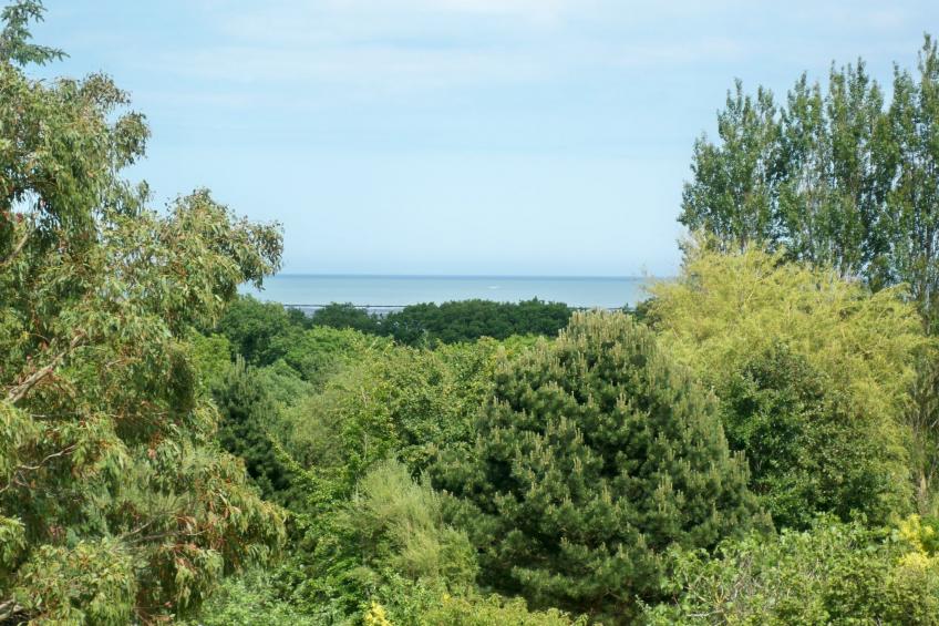 "L'Eucalyptus - foto 3