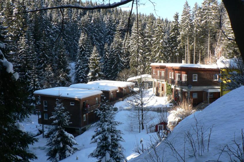 für 6 Personen im Thüringer Wald - foto 24