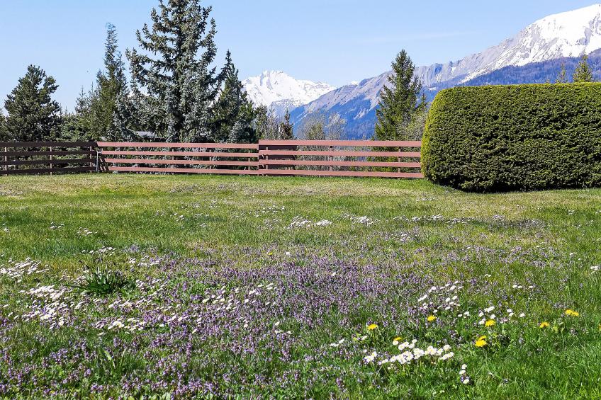 Santa Barbara - foto 23