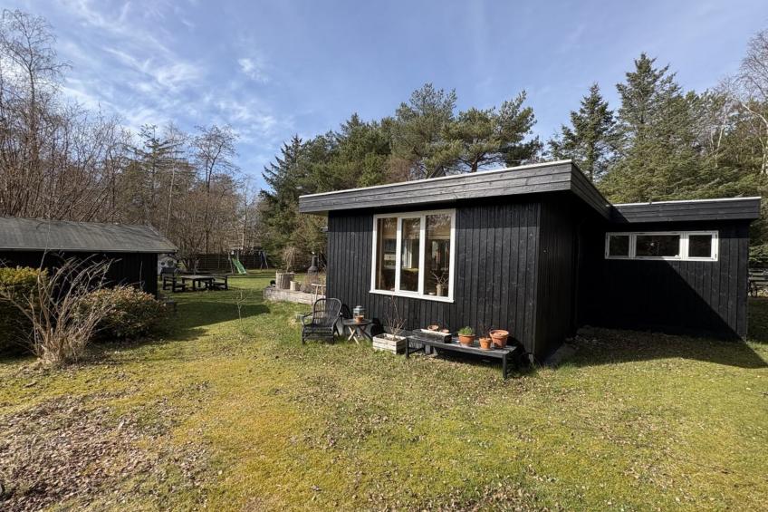 "Tatyana" - 1.6km from the sea - foto 2