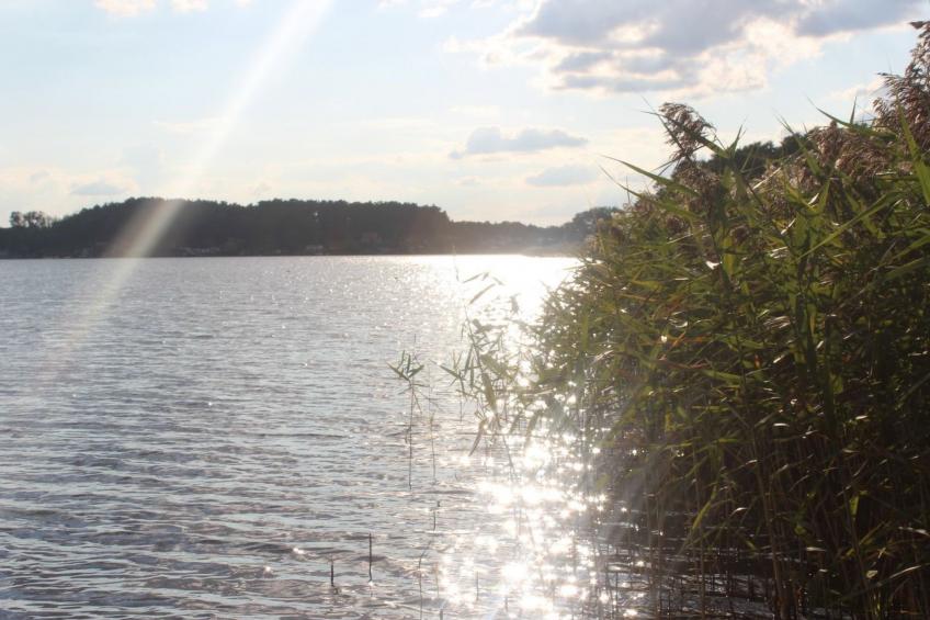 Residenz KrakowerSee - foto 14