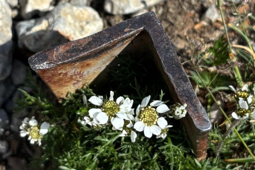 Haus Rosenwirth - foto 22