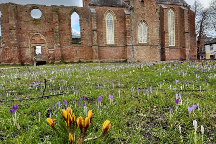 Rekerlanden 174 - foto 32