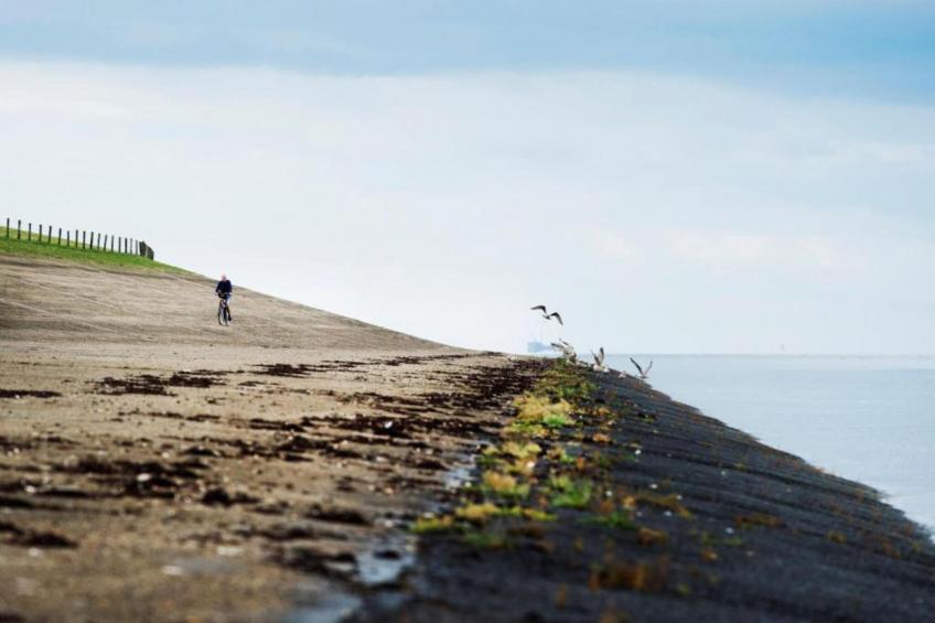 Grote Siege 44 - foto 29