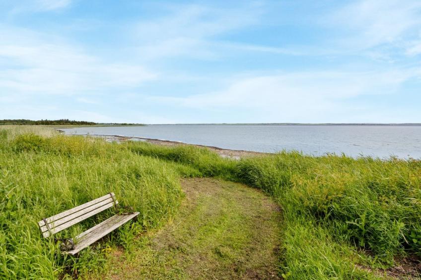 "Ødger" - 150m to the inlet in The Liim Fiord - foto 4