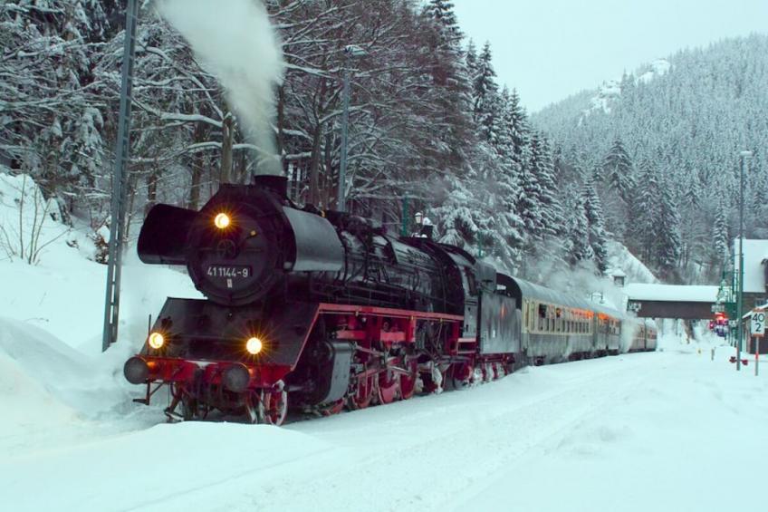 71790 - foto 19