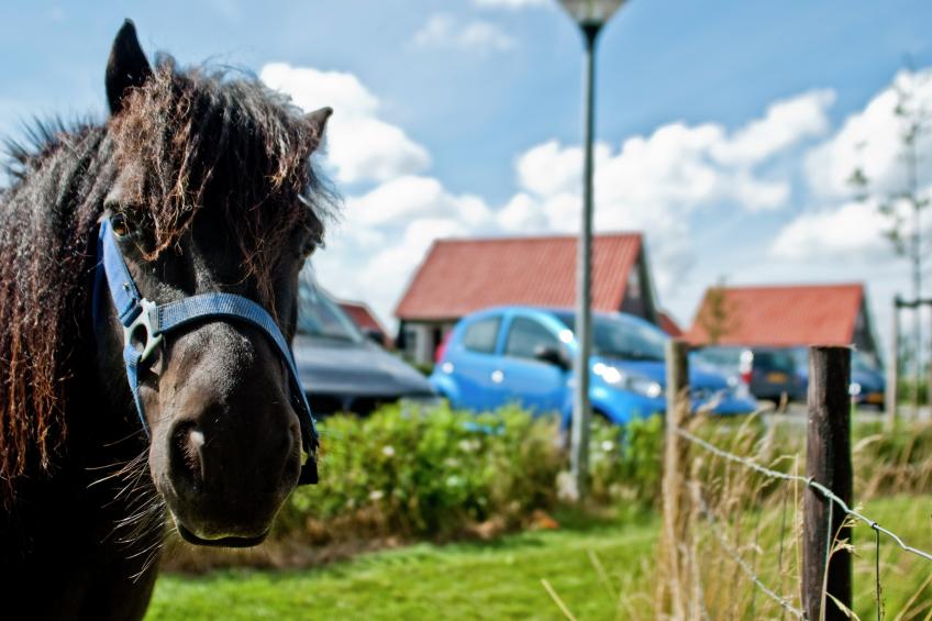 Recreatiepark de Stelhoeve - Oosterschelp 2 - foto 15