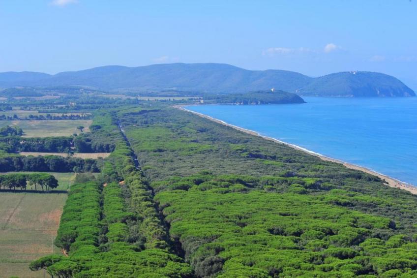 Casa Oleandri - foto 30