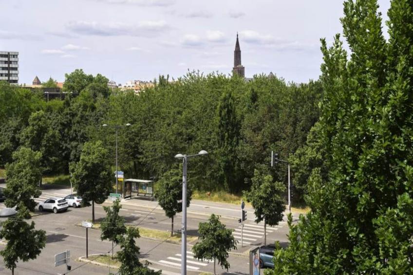 Dans Les étoiles - 2 Chambres Proche Centre Ville Avec Parking Inclus - foto 22