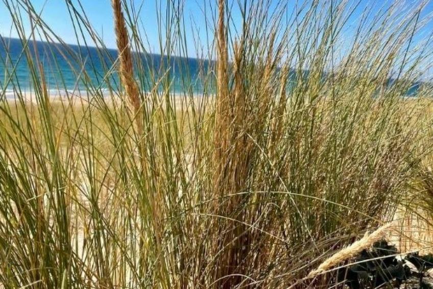 10 p mit beheiztem Pool - foto 43