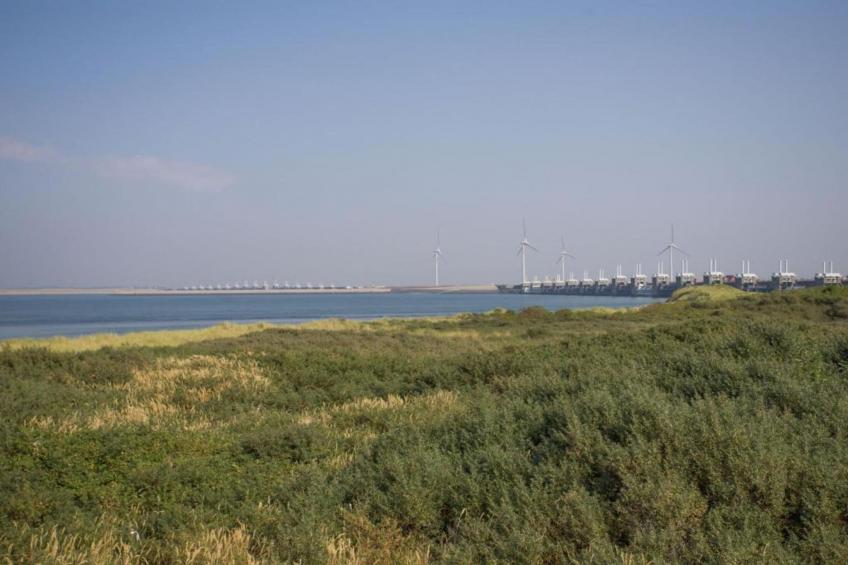 Rust & Ruimte Oosterschelde - foto 27
