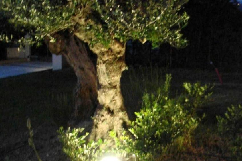 Charmante Lösung, Schwimmbad 10 Minuten vom Meer entfernt - foto 23