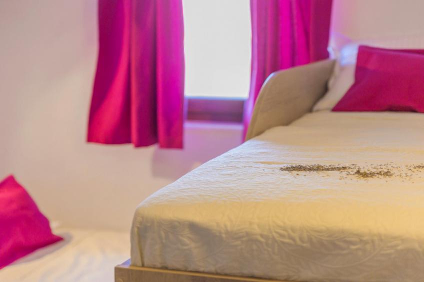 Rustic Villa Fragola with heated pool - foto 25