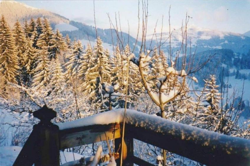 Chalet Bliss Spacious Six Bedrooms And Breathtaking Views - foto 35